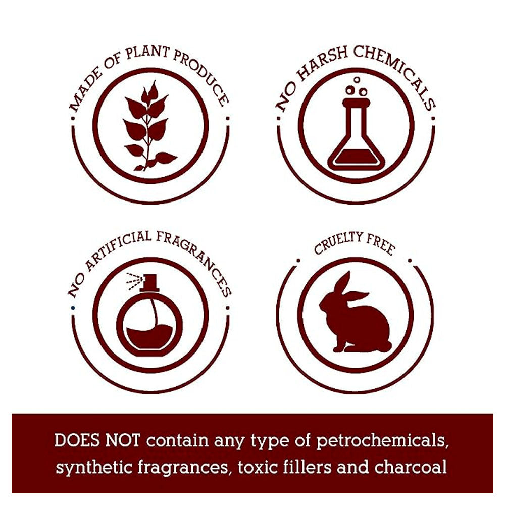 Pure Gugal Dhoop - 100g - 10 st Each - Pack of 2