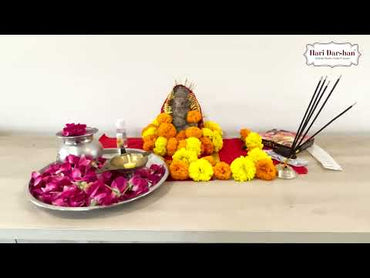 Ganpati Utsav Kit for Ganpati Pooja - with Eco-Friendly Water Soluble Ganpati Statue/Ganpati Puja Kit/Ganesh Chaturthi Puja Kit (14 Items) with Detailed Puja Vidhi in Hindi & English