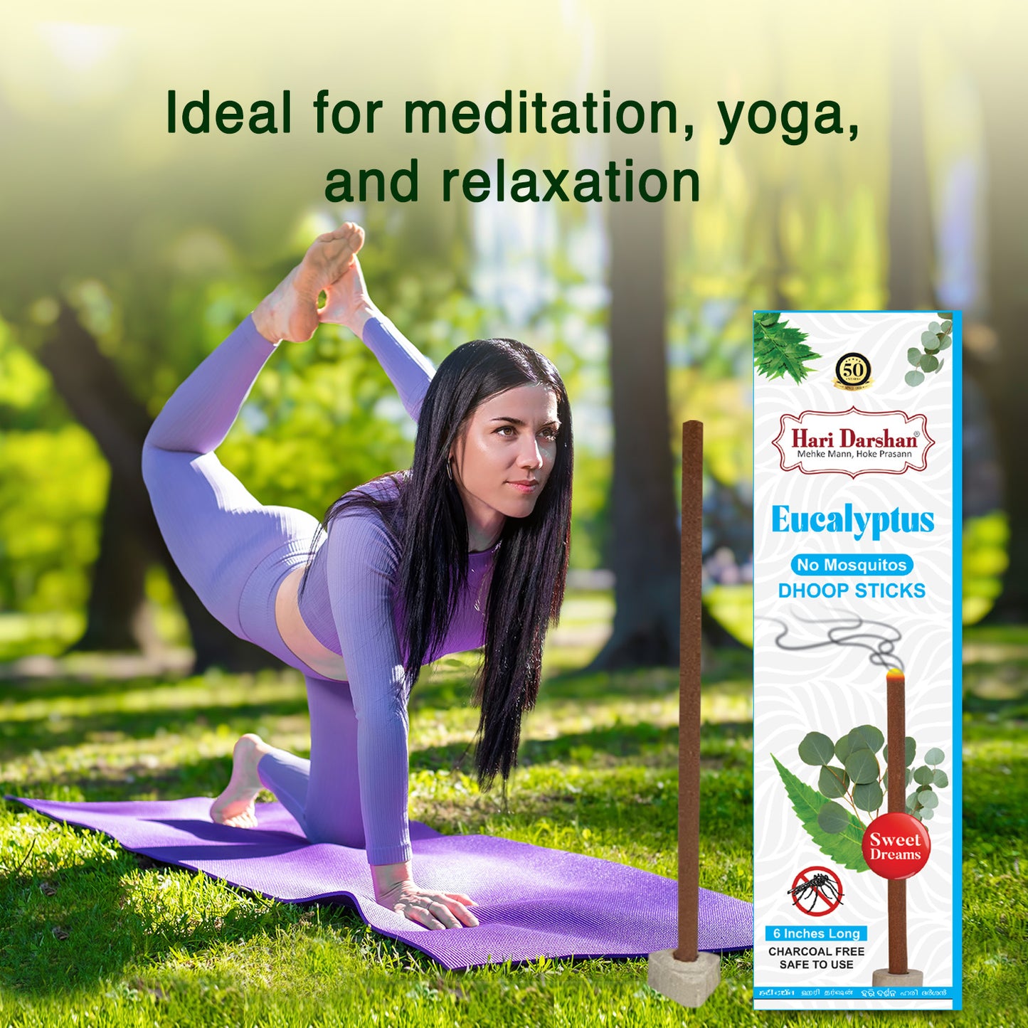 EUCALYPTUS - No Mosquito Repellent Dhoop Sticks | 6 Inch Long with Holder | Charcoal Free
