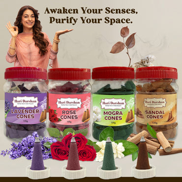 Combo of Lavender, Sandal, Rose, Mogra - Dhoop Cones Jar - Pack of 4, 65 Pcs in Each Pack